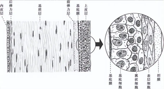 1737770145117284.png image.png